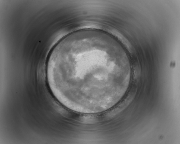 X0000102861274200809151202