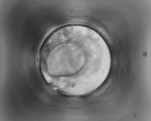 X0000102861275200809151202