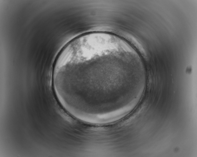 X0000102861276200809151202