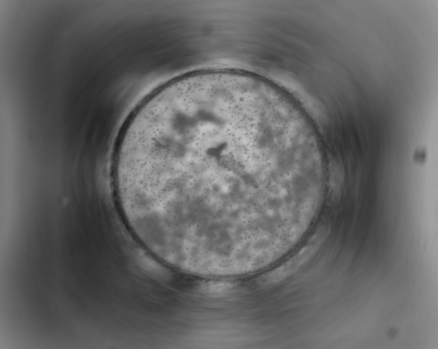 X0000102861278200809151202