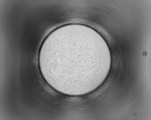 X0000102861280200809151202