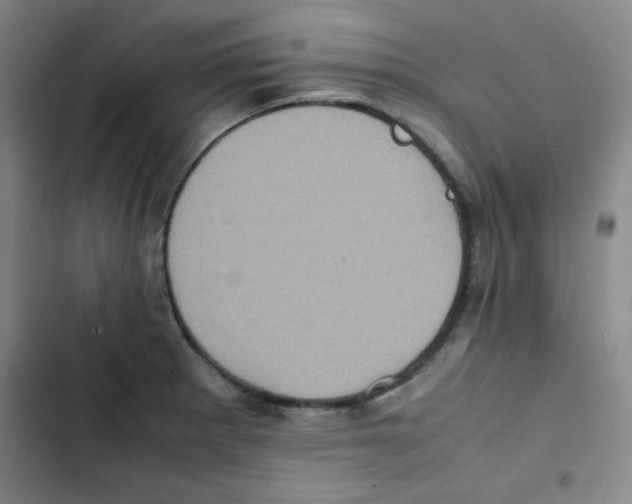 X0000102861281200809151202