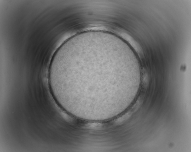 X0000102861282200809151202