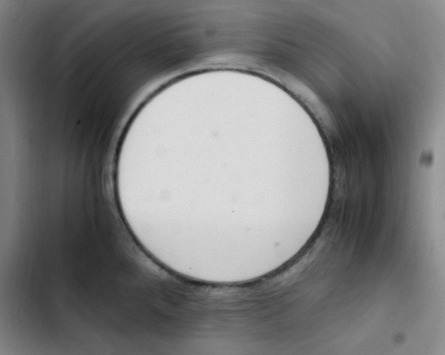 X0000102861288200809151202