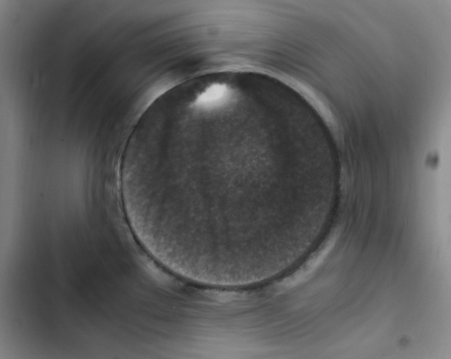 X0000102861289200809151202