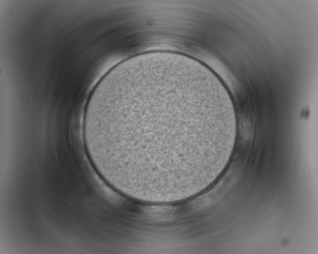 X0000102861290200809151202