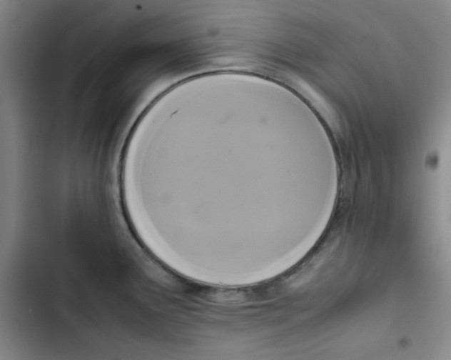 X0000102861291200809151202