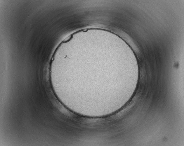 X0000102861292200809151202