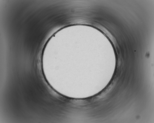 X0000102861293200809151202