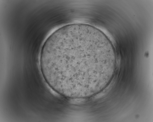 X0000102861294200809151202