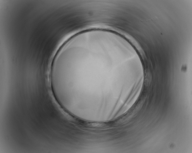 X0000102861295200809151202