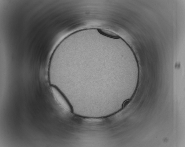 X0000102861296200809151202