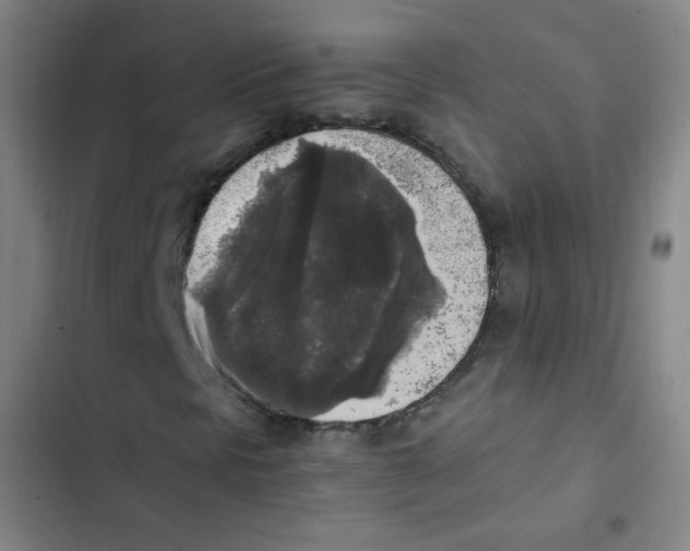 X0000102861297200809151201