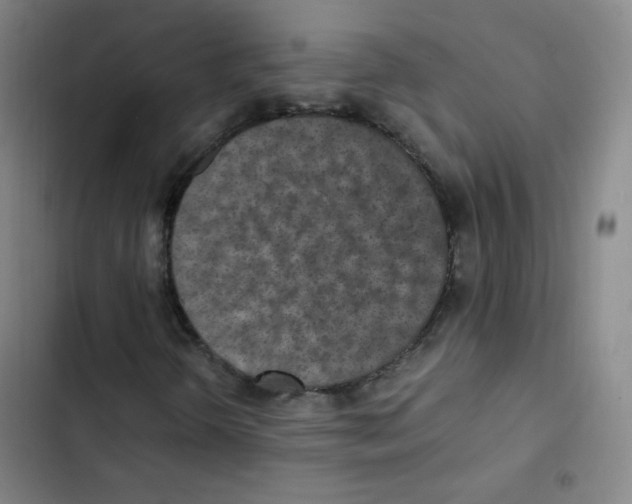 X0000102861298200809151201