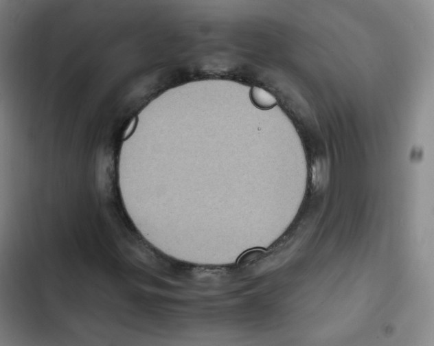 X0000102861299200809151201