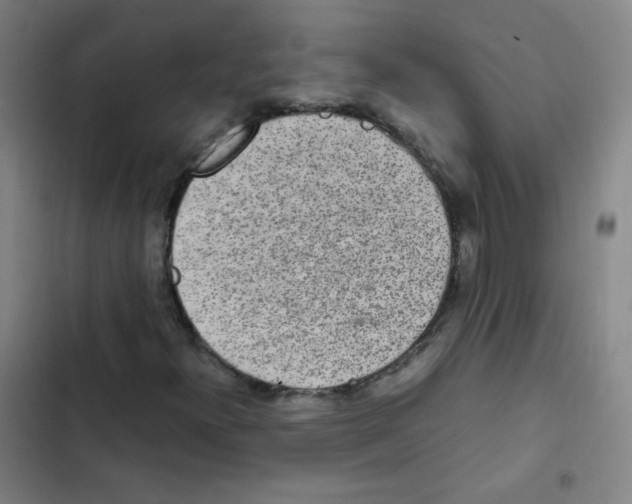 X0000102861300200809151201