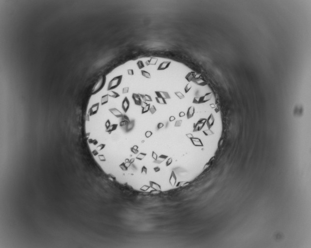 X0000102861301200809151201