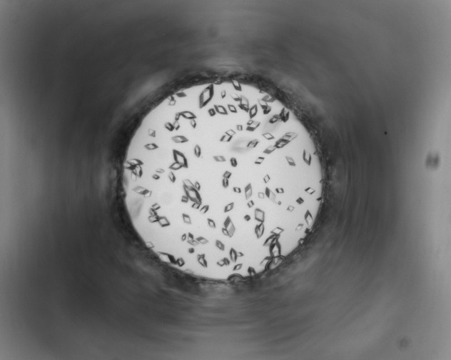 X0000102861302200809151201