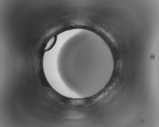 X0000102861303200809151201