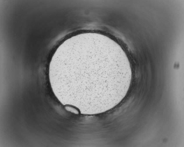 X0000102861304200809151201