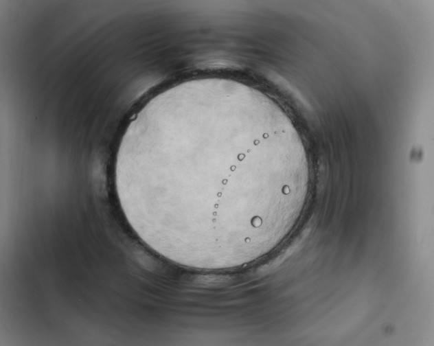 X0000102861305200809151201