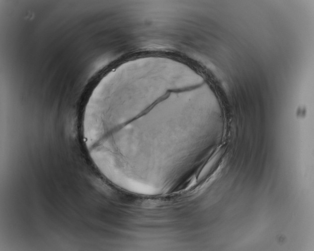 X0000102861306200809151201