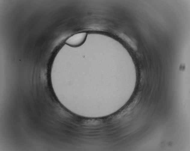 X0000102861307200809151201