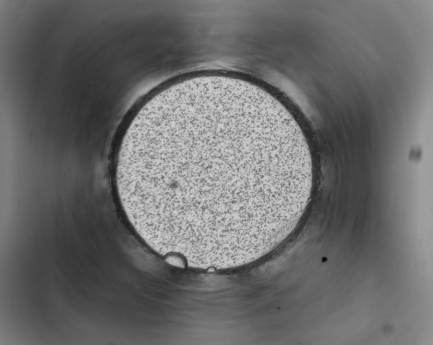 X0000102861308200809151201