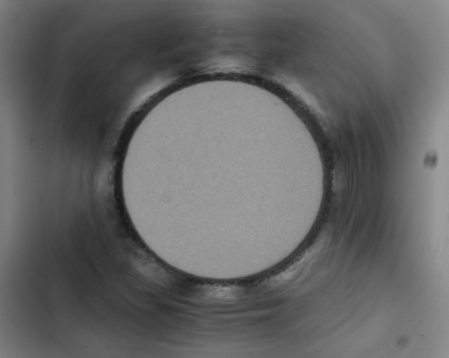 X0000102861309200809151201