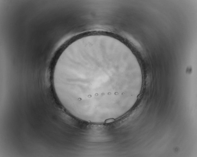 X0000102861310200809151201