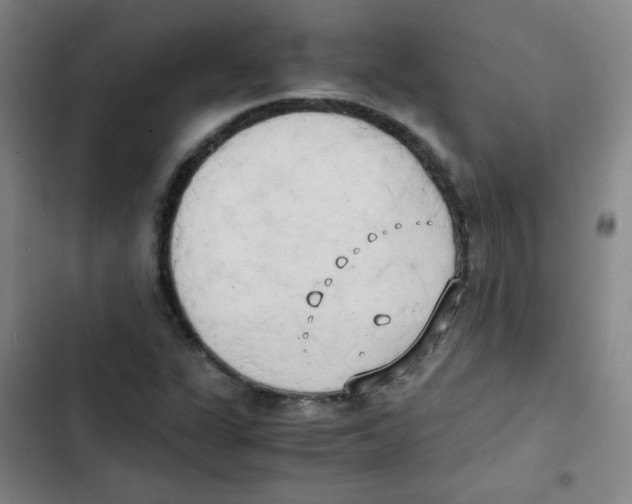 X0000102861311200809151201