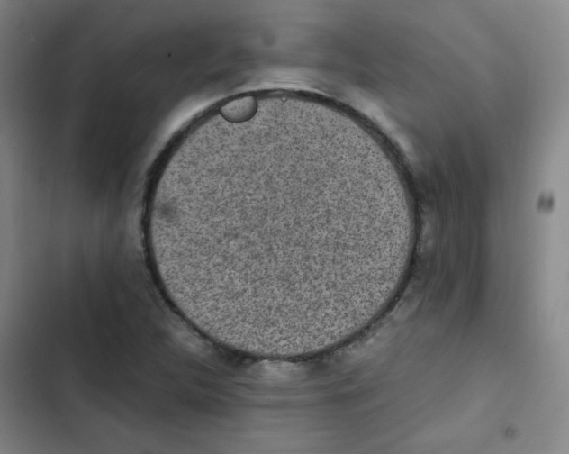 X0000102861312200809151201