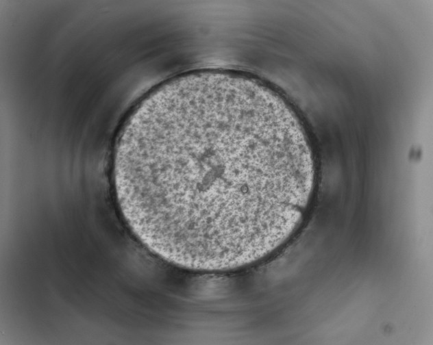 X0000102861314200809151201