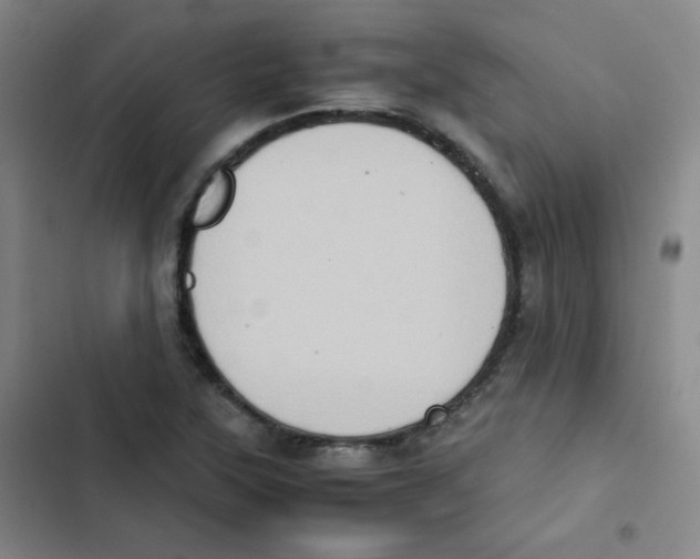 X0000102861315200809151202