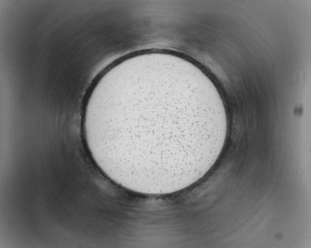 X0000102861316200809151202