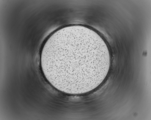 X0000102861317200809151202