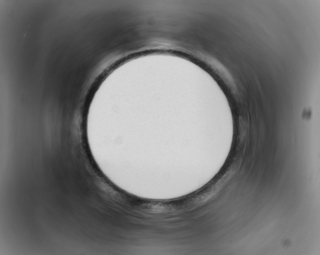 X0000102861318200809151202