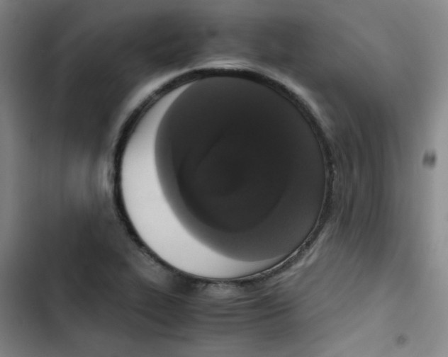 X0000102861319200809151202