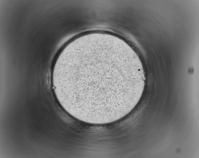 X0000102861320200809151202