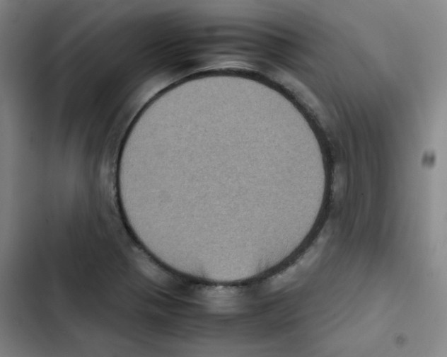 X0000102861321200809151202