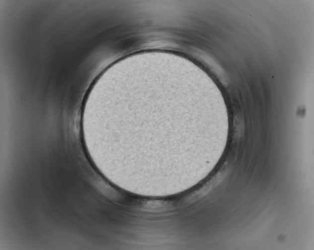 X0000102861322200809151202