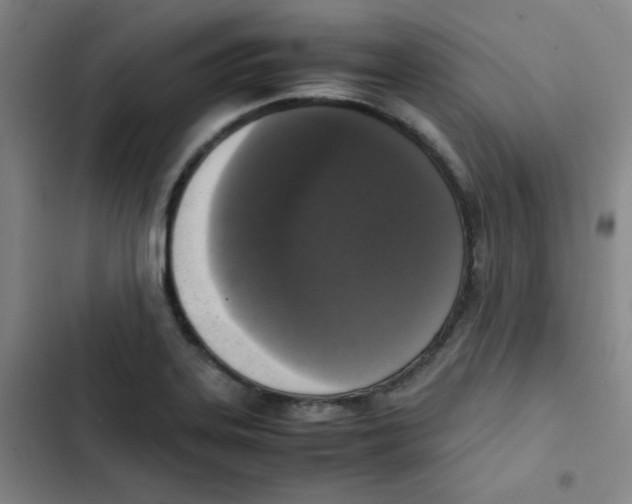 X0000102861323200809151202