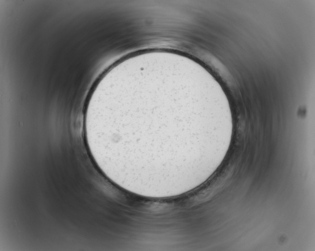 X0000102861324200809151202