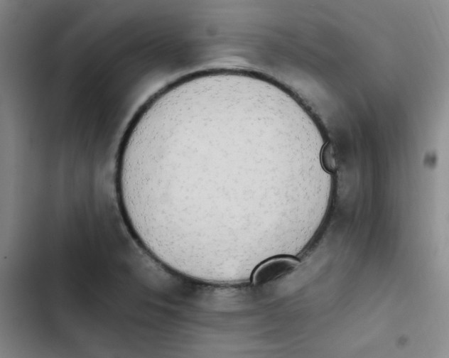 X0000102861326200809151202