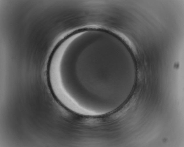 X0000102861327200809151202