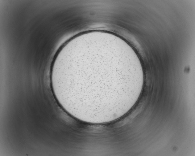 X0000102861328200809151202