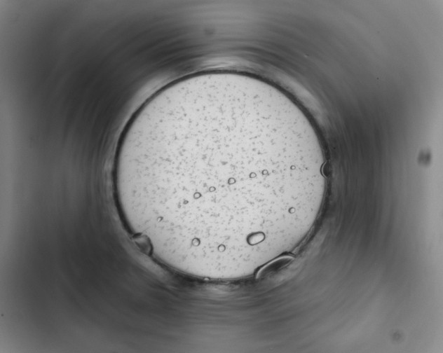 X0000102861330200809151202