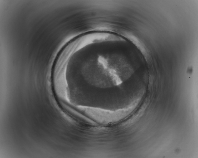 X0000102861331200809151202