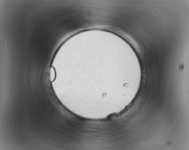 X0000102861332200809151202