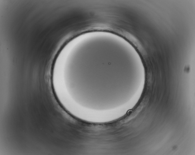 X0000102861334200809151202